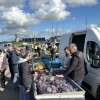 En direct du pêcheur